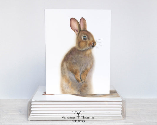 Bunny Notecard Set – 8 Blank Folded Cards with Envelopes | A2 Size