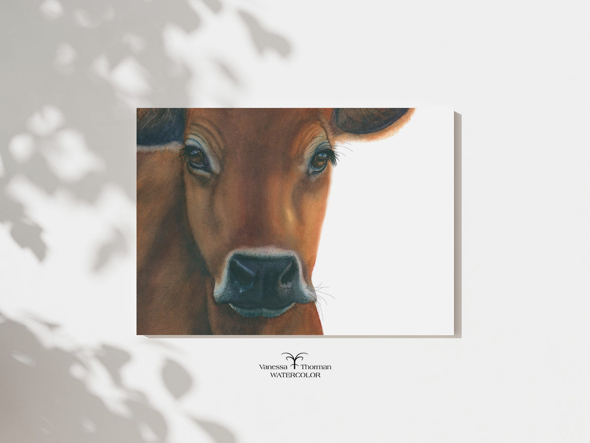"Owen" Jersey Cow watercolor art print by Vanessa Thorman, unframed