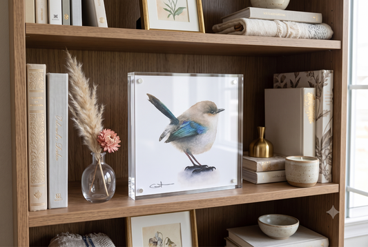 Fairywren acrylic block art desk art displayed in a bookshelf