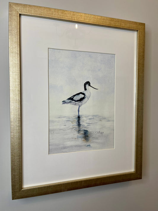 REFLECTIONS I | Pied Avocet Art | Original Watercolor Painting
