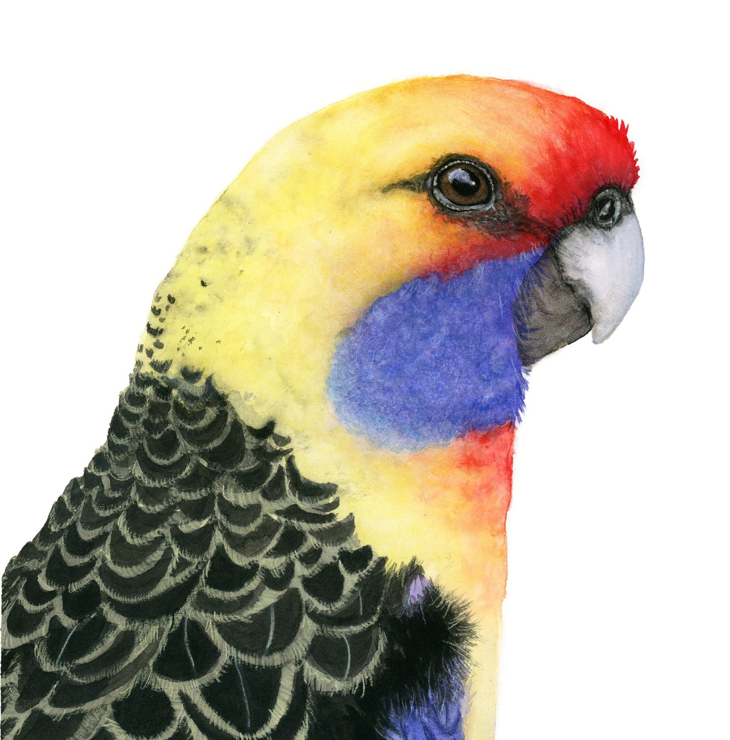 RAFAEL | Parrot Portrait | Exotic Bird Original Watercolor Painting