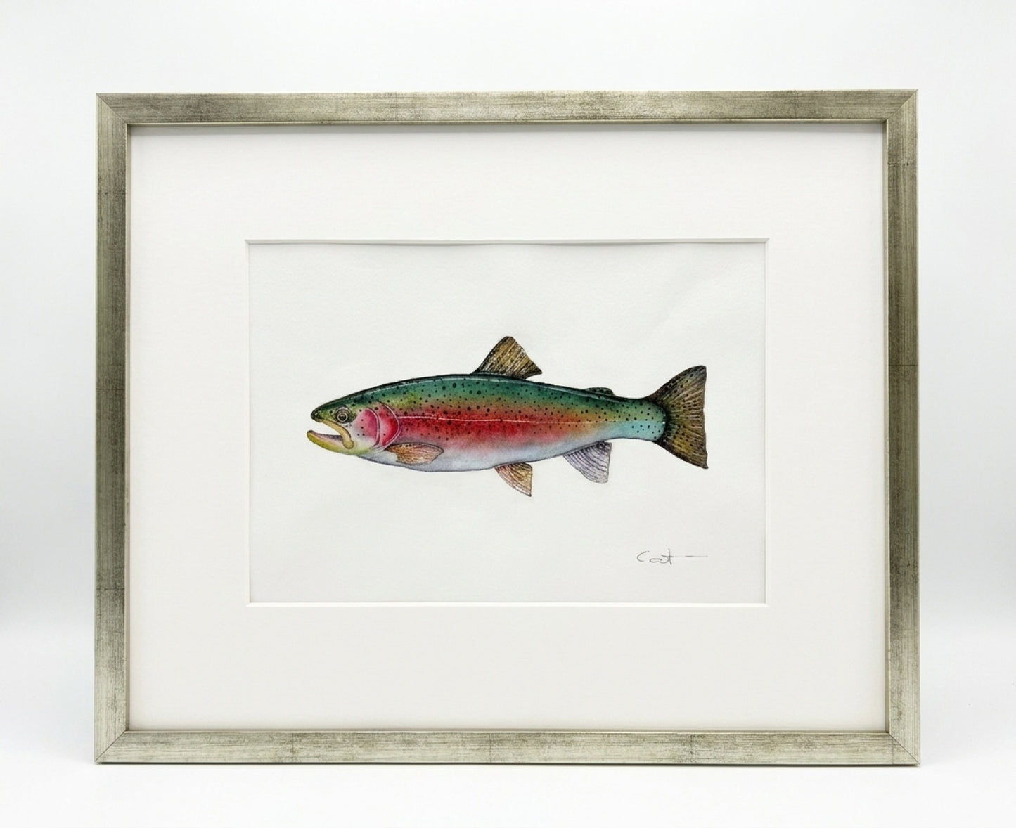 Framed watercolor painting of a rainbow trout by Vanessa Thorman in a distressed silver-gray frame with a white mat, set against a clean white background.