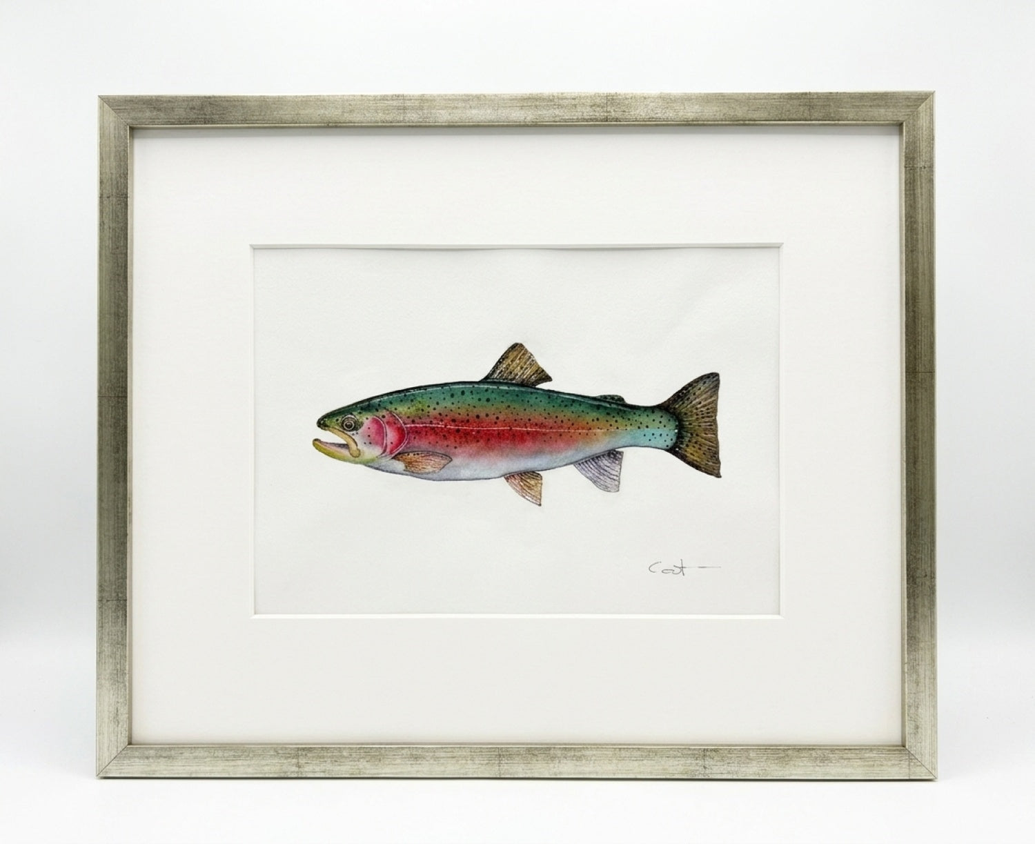 Framed watercolor painting of a rainbow trout by Vanessa Thorman in a distressed silver-gray frame with a white mat, set against a clean white background.