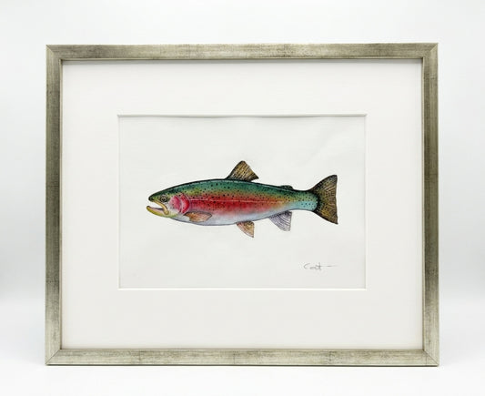Framed watercolor painting of a rainbow trout by Vanessa Thorman in a distressed silver-gray frame with a white mat, set against a clean white background.