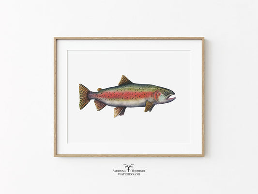 watercolor-art-print-framed.jpg	Rainbow Trout watercolor art print in a frame on a white background