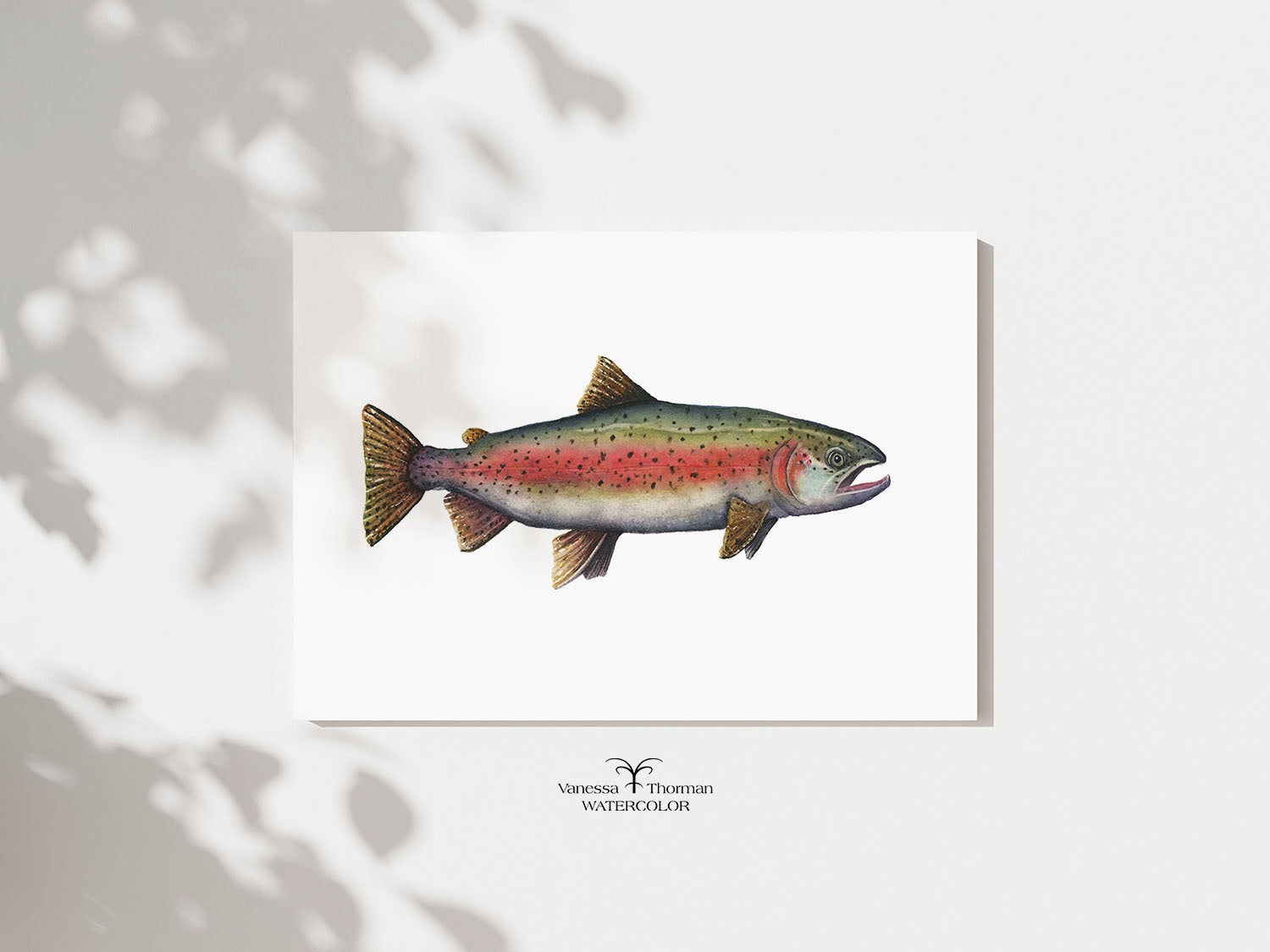 Rainbow Trout watercolor art print with a white background