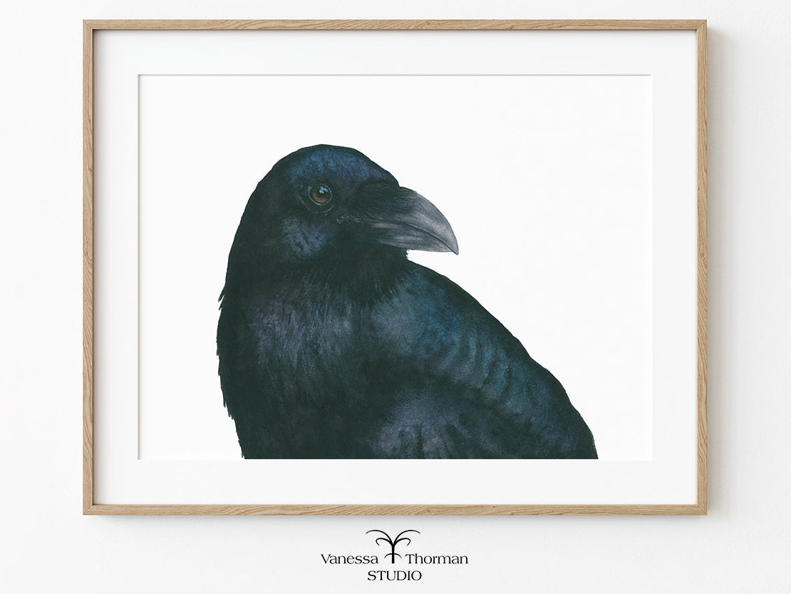 Framed Raven watercolor art print by Vanessa Thorman