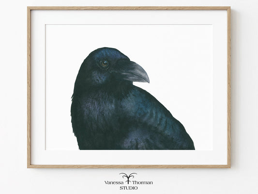Framed Raven watercolor art print by Vanessa Thorman
