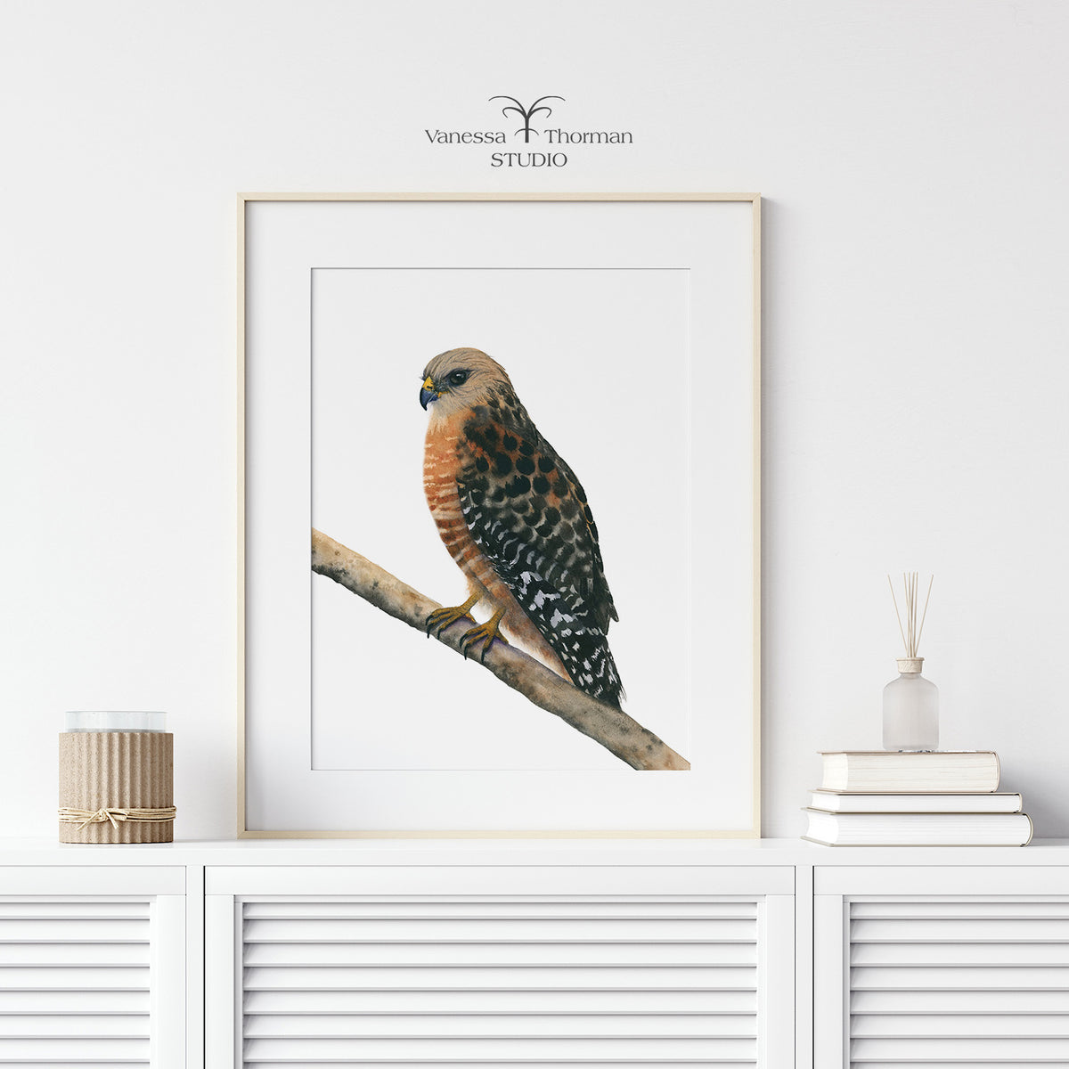 Framed Red-Shouldered Hawk watercolor art print by Vanessa Thorman on a white table