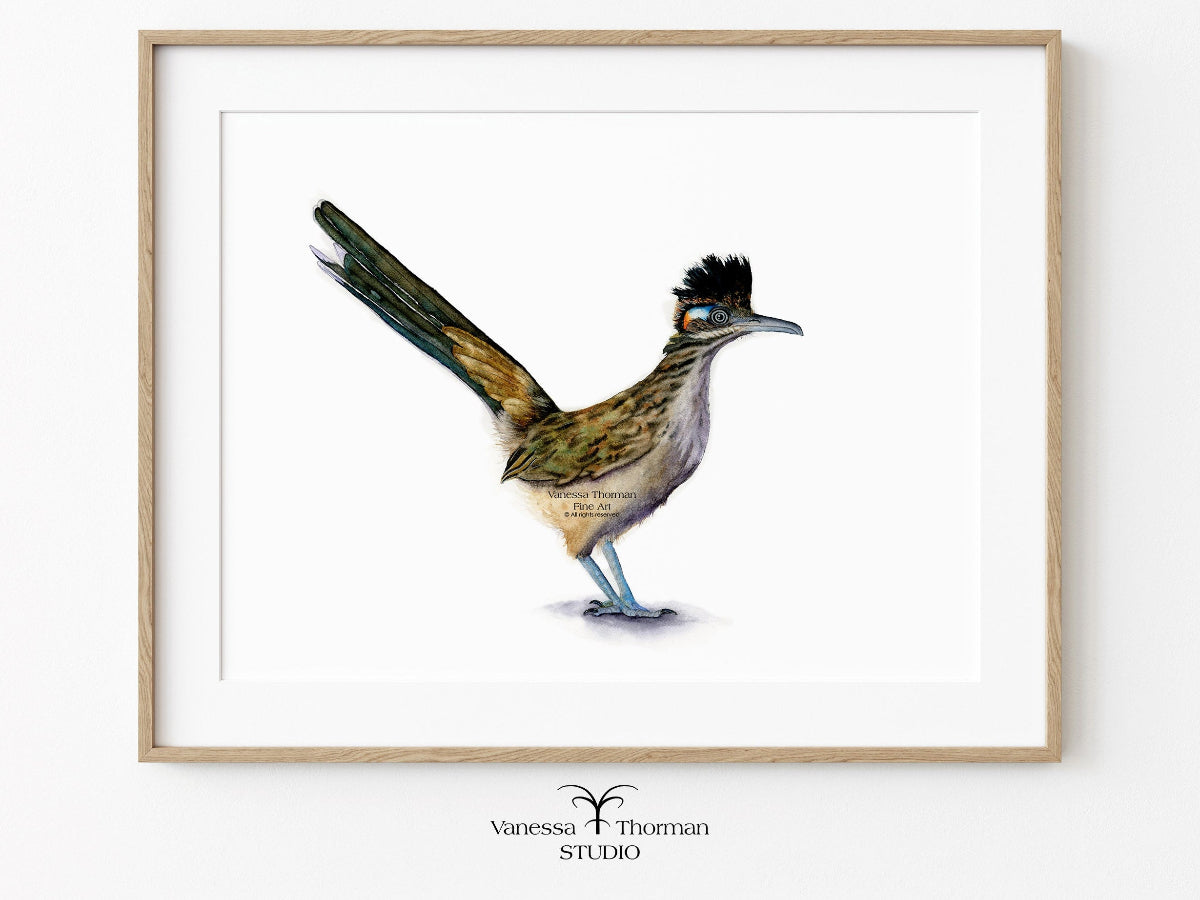 Framed Roadrunner watercolor art print with a white background