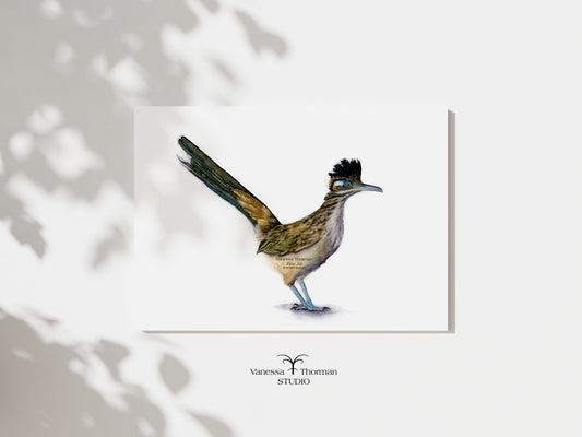 Roadrunner watercolor art print by Vanessa Thorman, unframed