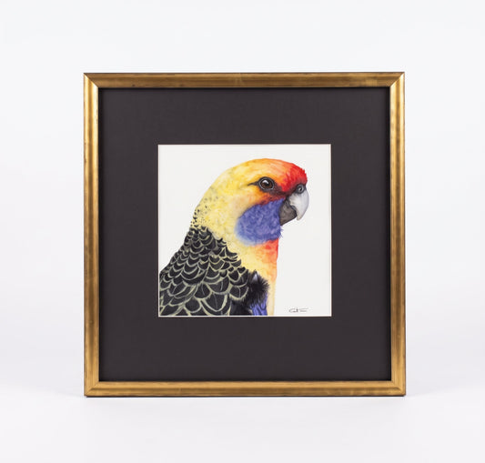 RAFAEL | Parrot Portrait | Exotic Bird Original Watercolor Painting
