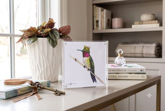 Ruby the Hummingbird acrylic block art print displayed on a console table