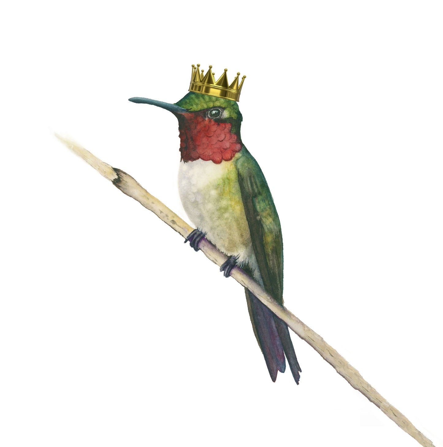 Detailed view of Ruby the Hummingbird acrylic block art print