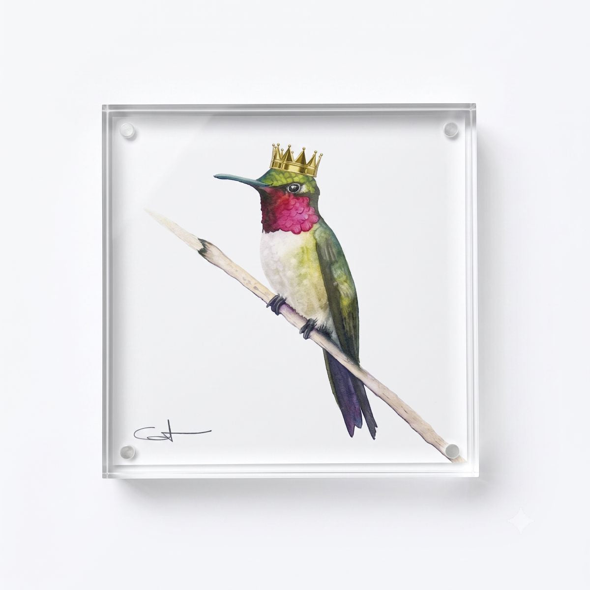 Front view of Ruby the Hummingbird acrylic block art print