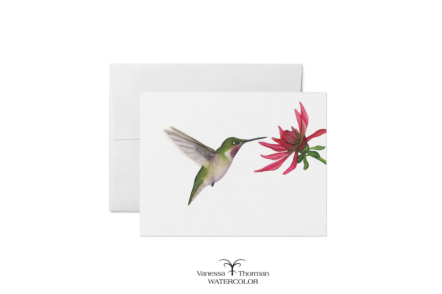 Ruby in Bloom watercolor notecard featuring a Ruby-throated hummingbird by Vanessa Thorman