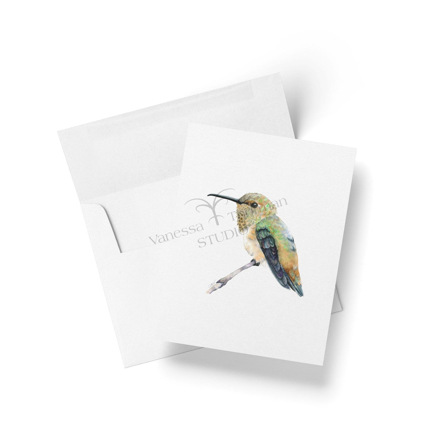 Watercolor notecard featuring a Rufous Hummingbird by Vanessa Thorman
