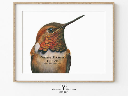 Framed "Rufous Hummingbird Portrait" watercolor art print by Vanessa Thorman