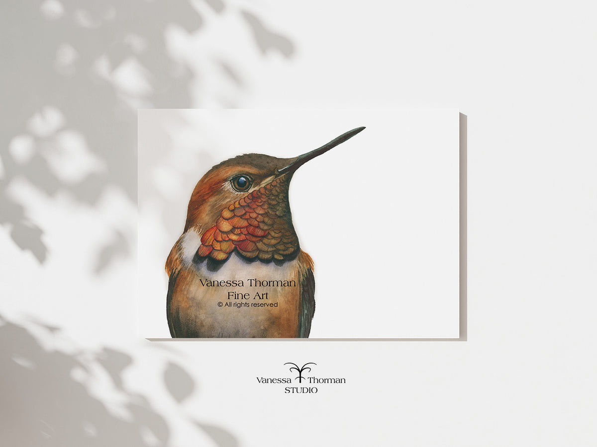 "Rufous Hummingbird Portrait" watercolor art print by Vanessa Thorman, unframed