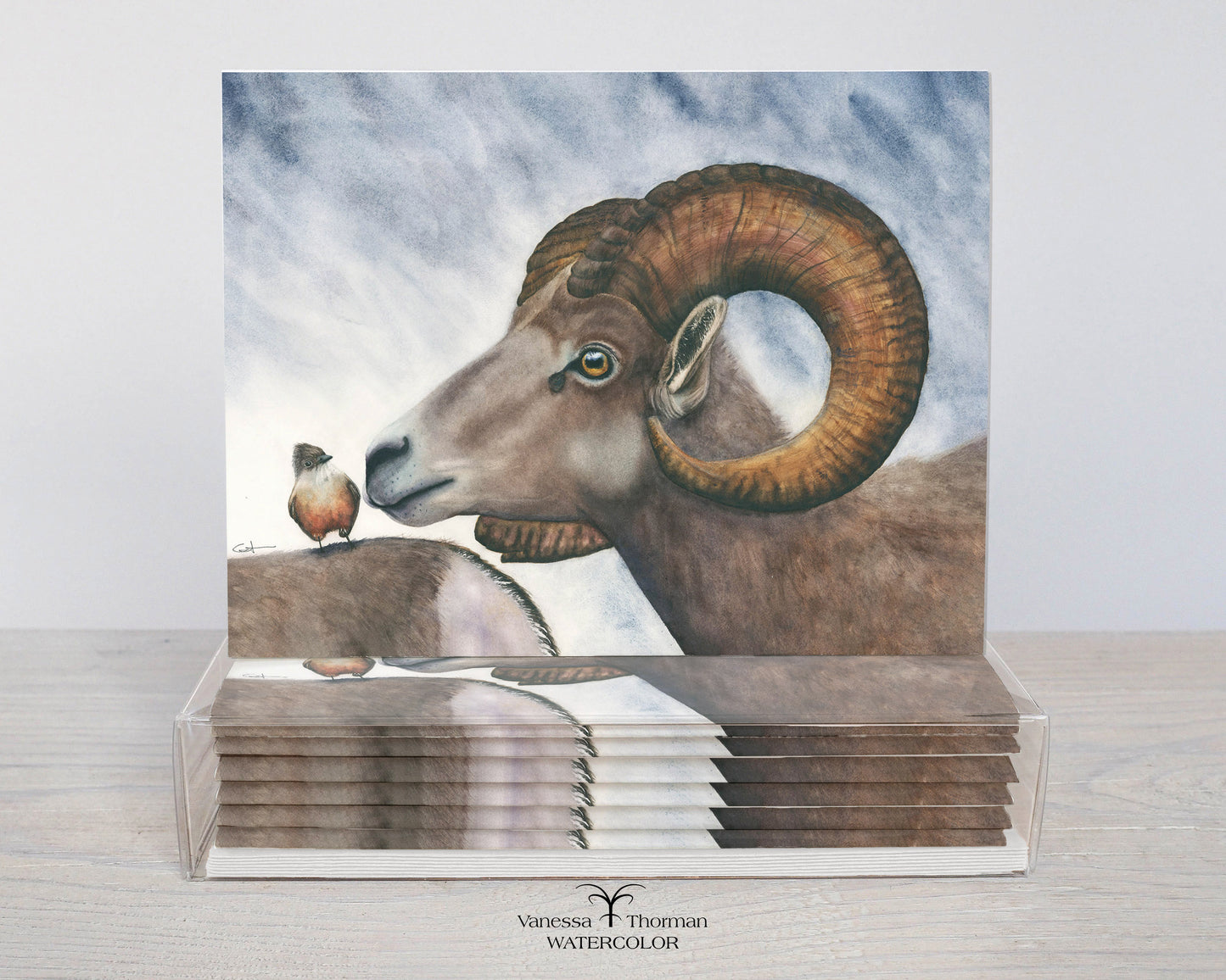 Small Talk — Bighorn Sheep Notecard Set, Watercolor Cards, Set of 8