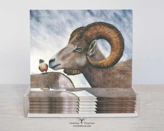 Small Talk — Bighorn Sheep Notecard Set, Watercolor Cards, Set of 8