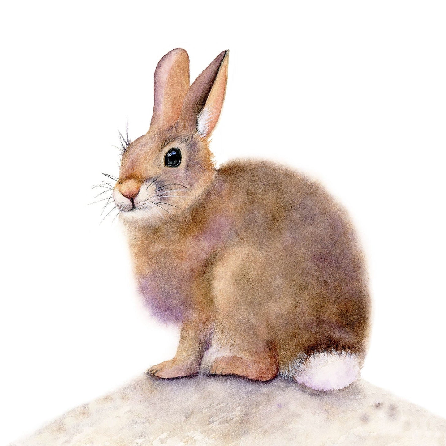 Detailed view of Some Bunny to Love bunny acrylic block desk art