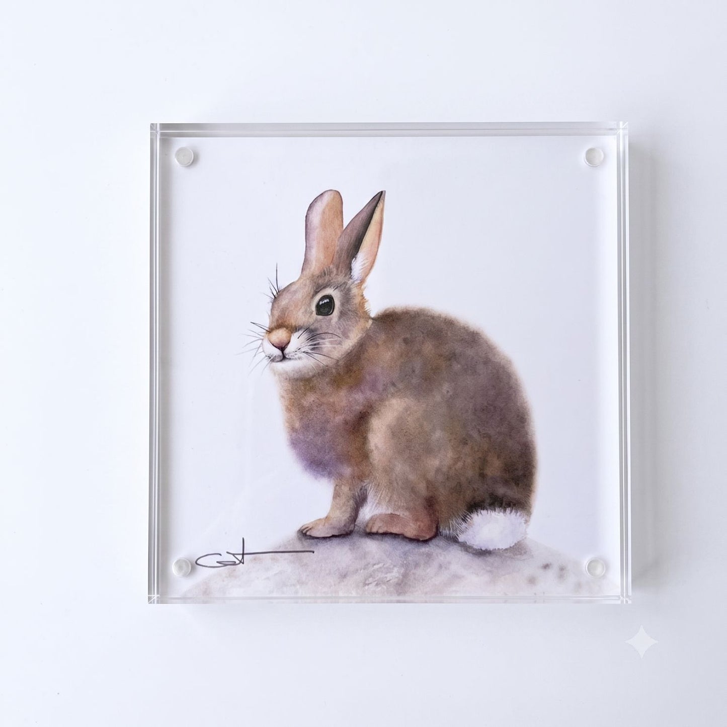 Some Bunny to Love bunny acrylic block art print, front view
