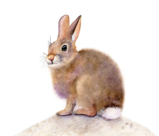 "Some Bunny to Love" bunny watercolor art print by Vanessa Thorman, detailed view