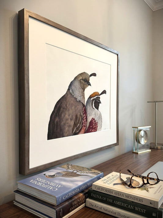 Framed Take a Gambel Quail Art Painting over a desk.