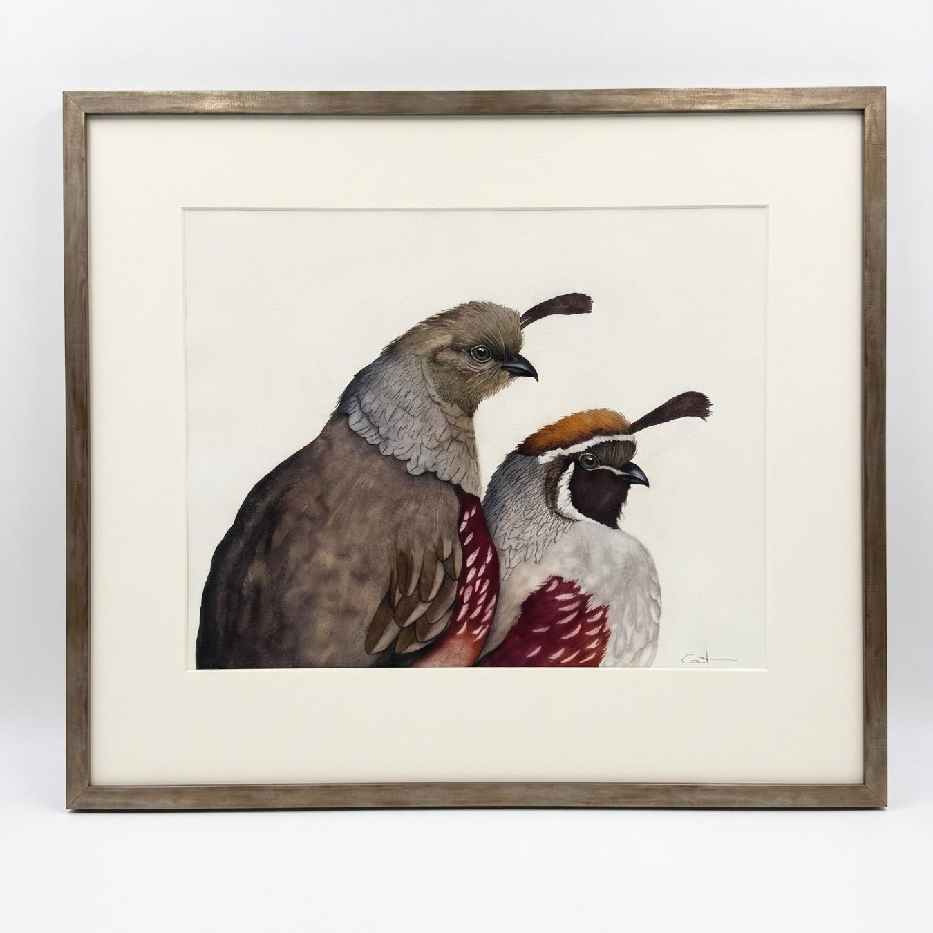 A framed watercolor painting depicting two gambel's quail birds, one brown and one white with red and orange accents, set in a champagne frame with a white mat against a neutral light gray background.