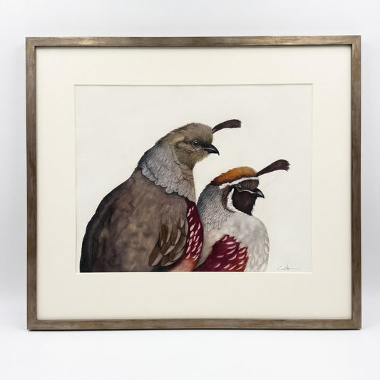 A framed watercolor painting depicting two gambel's quail birds, one brown and one white with red and orange accents, set in a champagne frame with a white mat against a neutral light gray background.