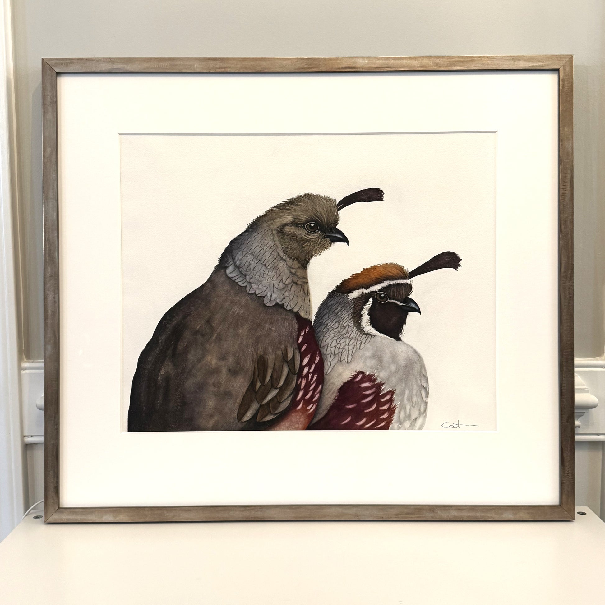 A framed bird art print featuring two Gambel's quail, displayed on a white surface against a light gray wall. The artwork is matted in white with a champagne wooden frame.