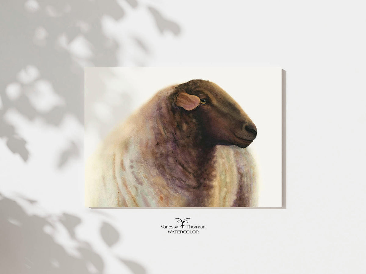 "Theo" sheep watercolor art print, unframed, by Vanessa Thorman