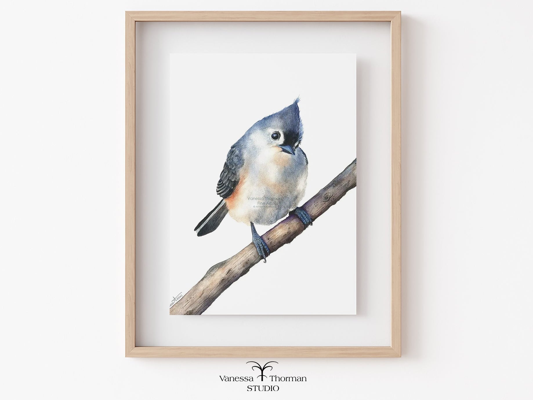 Framed Tufted Titmouse watercolor art print by Vanessa Thorman