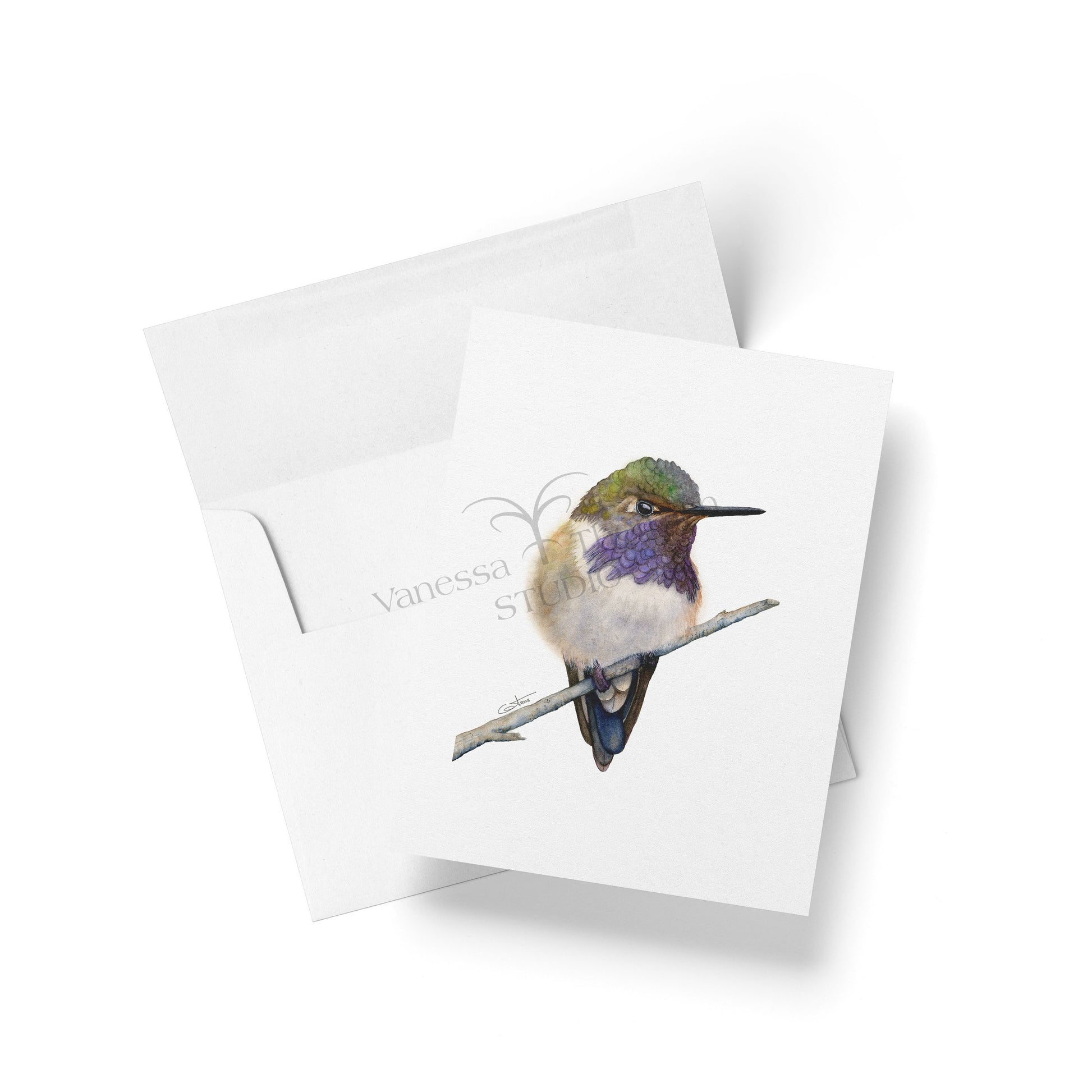 Watercolor notecard featuring a Volcano Hummingbird by Vanessa Thorman