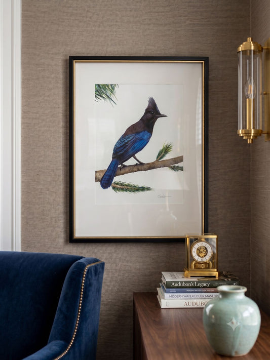 STELLER'S JAY | Original Watercolor Painting