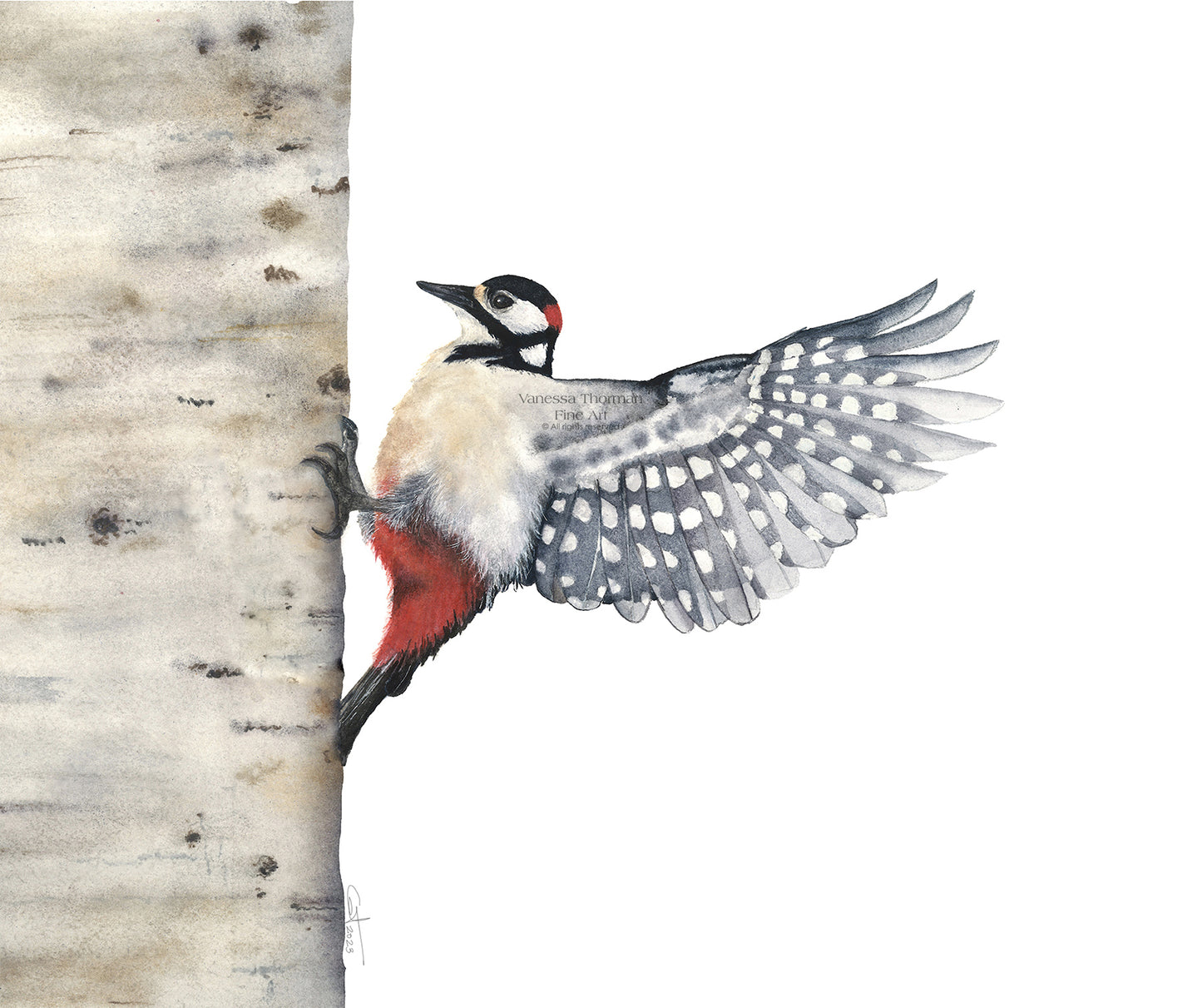 BETWEEN BEATS | Woodpecker Art | Original Watercolor Painting