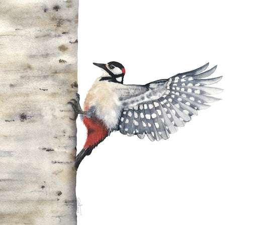 BETWEEN BEATS | Woodpecker Art | Original Watercolor Painting