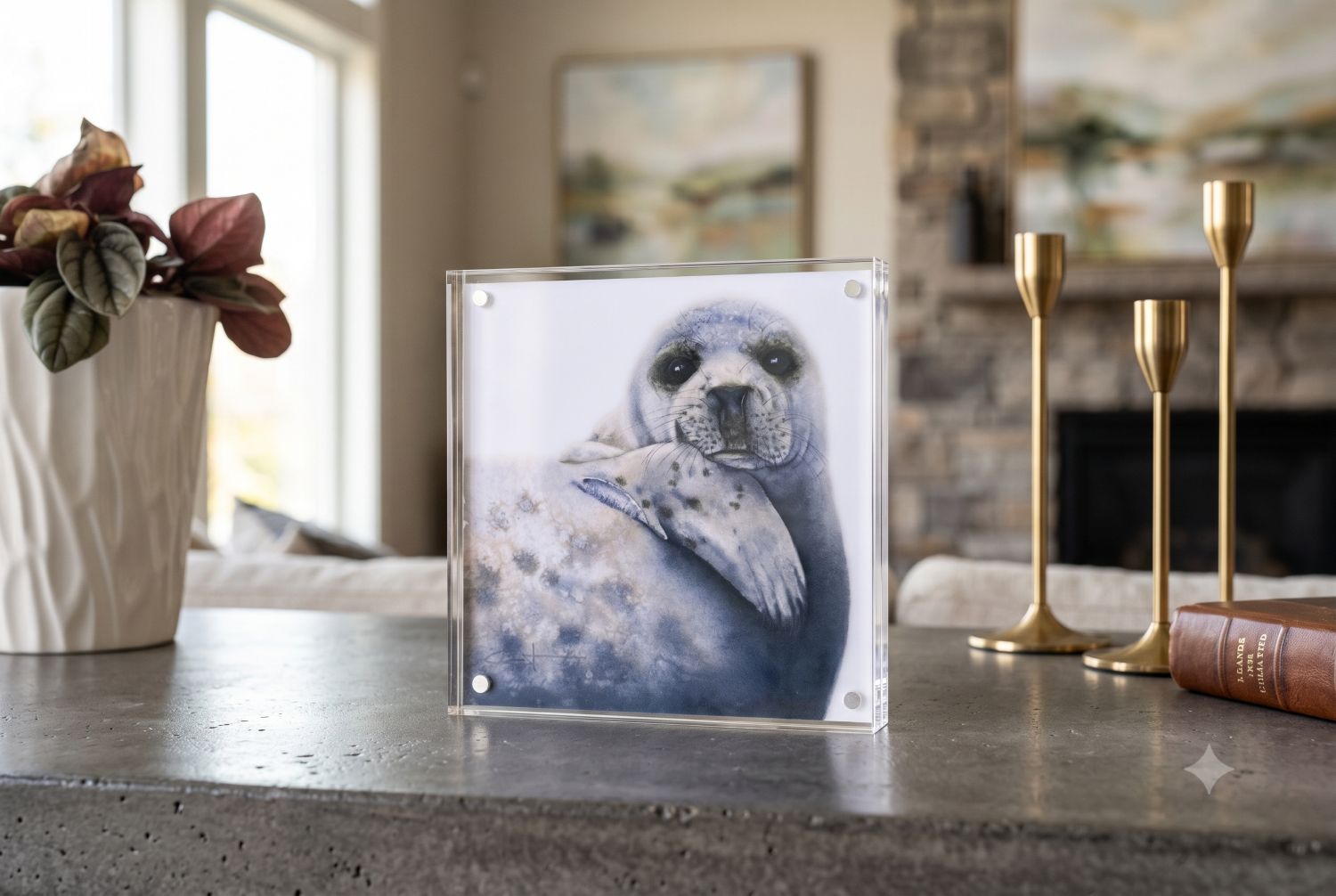 Albus the Grey Seal acrylic block art print displayed on a table