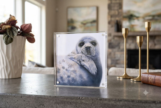 Albus the Grey Seal acrylic block art print displayed on a table
