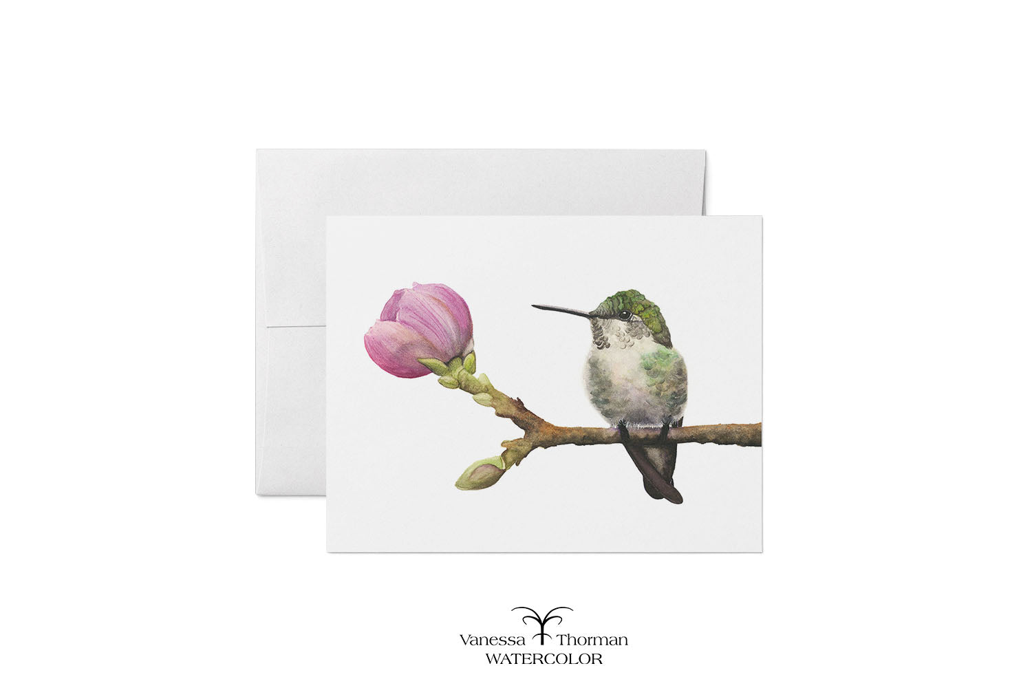 Hummingbird in Bloom watercolor notecard featuring an Anna's Hummningbird by Vanessa Thorman