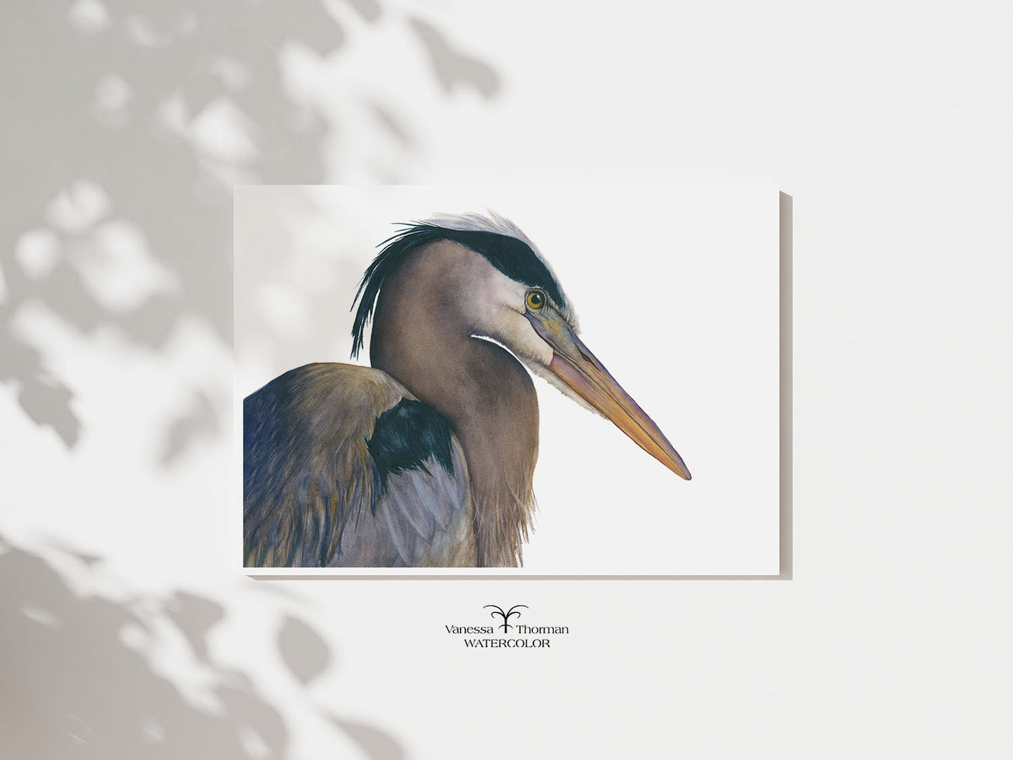 "August" Great Blue Heron watercolor art print, unframed, by Vanessa Thorman