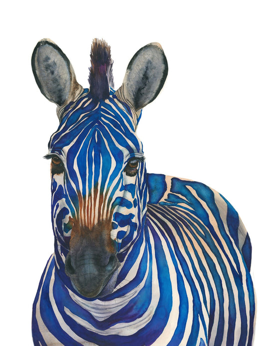 "Azul" blue zebra watercolor art print by Vanessa Thorman