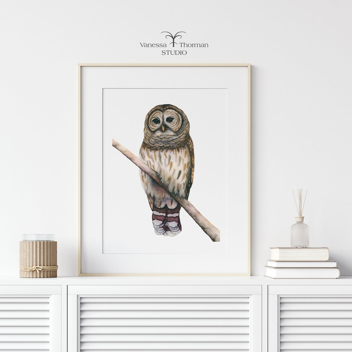 Framed Barred Owl watercolor art print on a white background by Vanessa Thorman
