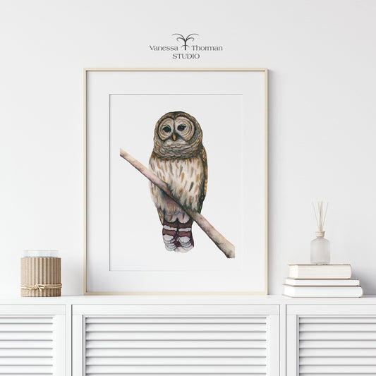 Framed Barred Owl watercolor art print on a white background by Vanessa Thorman