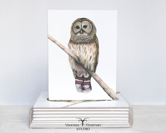 Barred Owl watercolor notecard set with 8 blank folded cards ready for gifting