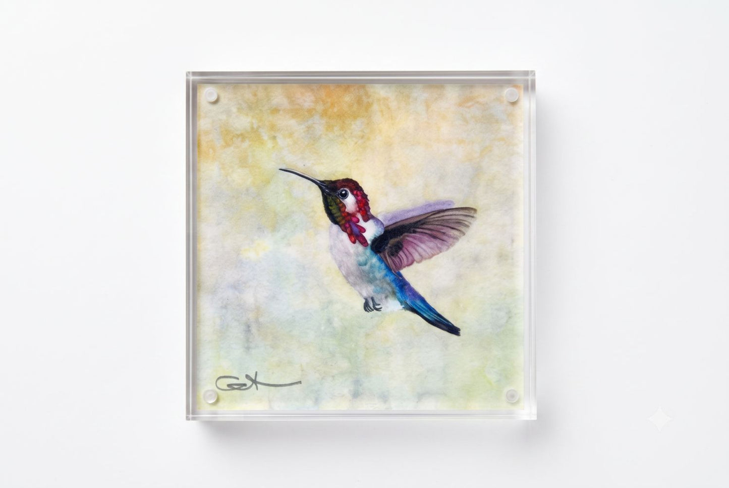 bee the hummingbird acrylic block desk art, front view