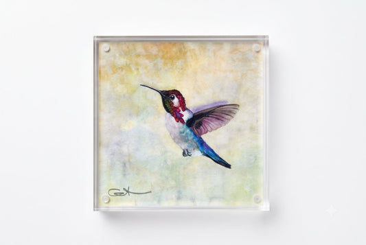 bee the hummingbird acrylic block desk art, front view