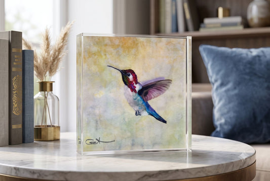 bee the hummingbird acrylic block desk art displayed on a side table