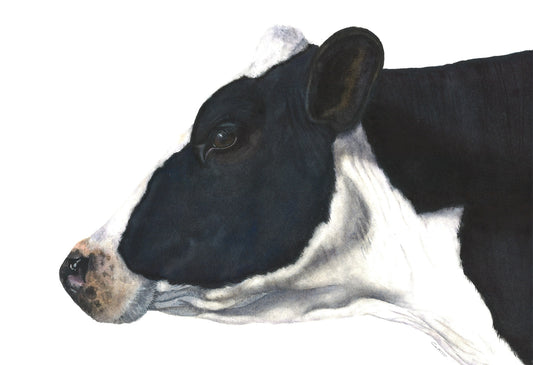 "Belle of the Ball" Holstein Cow watercolor art print by Vanessa Thorman